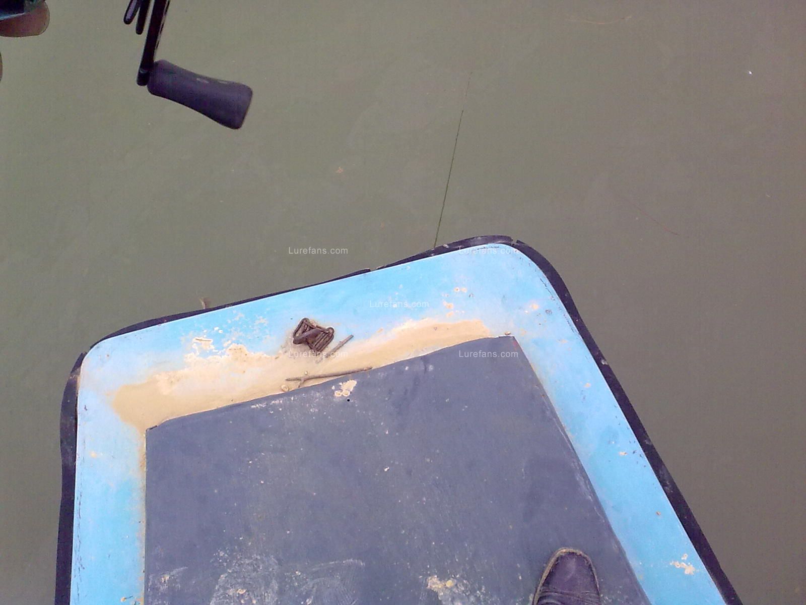 20110113907.jpg