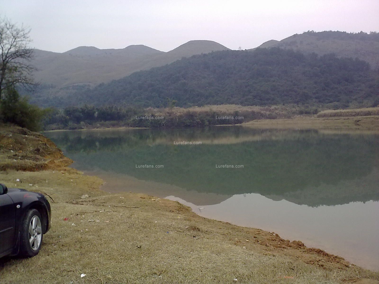 20110113896.jpg