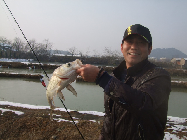 BASS