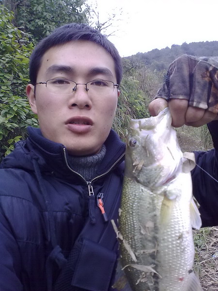 201101281111.jpg