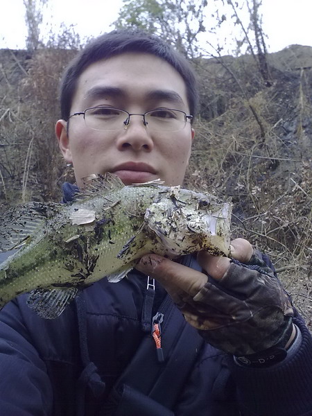 201101281104.jpg