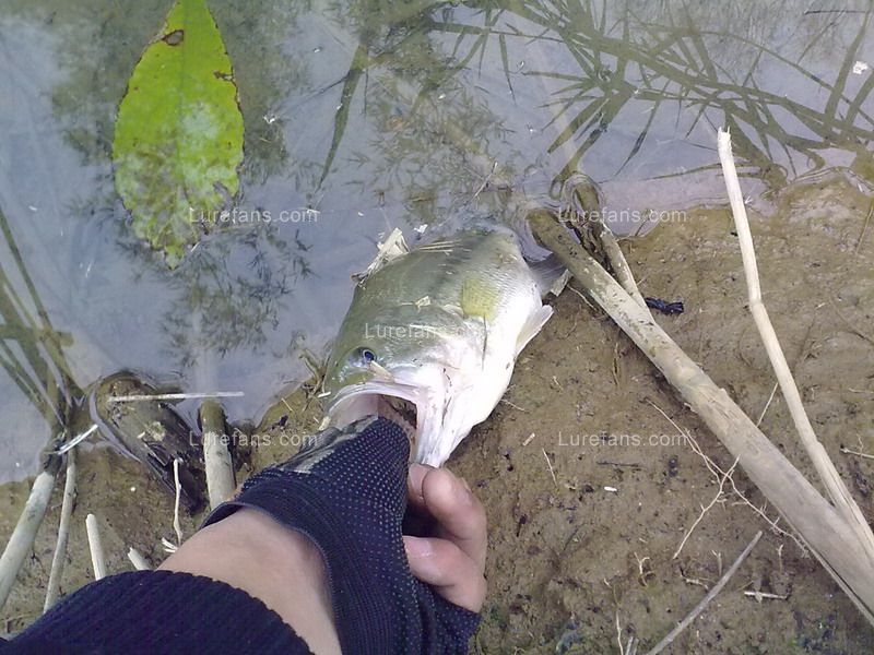 201101281115.jpg