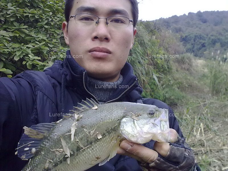 201101281113.jpg
