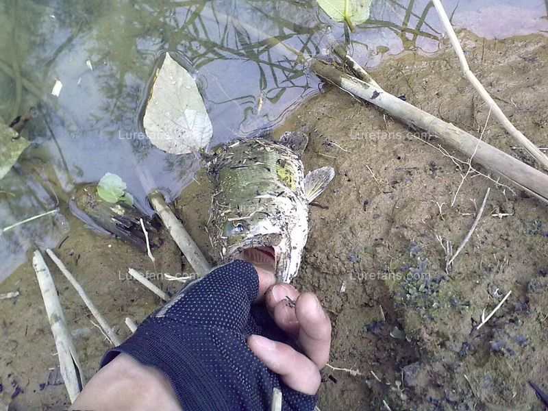 201101281106.jpg