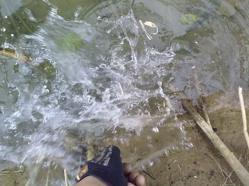 201101281116.jpg