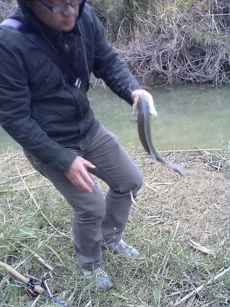 201101281041.jpg