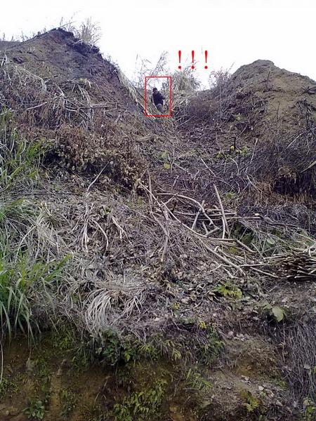 201101281120.jpg