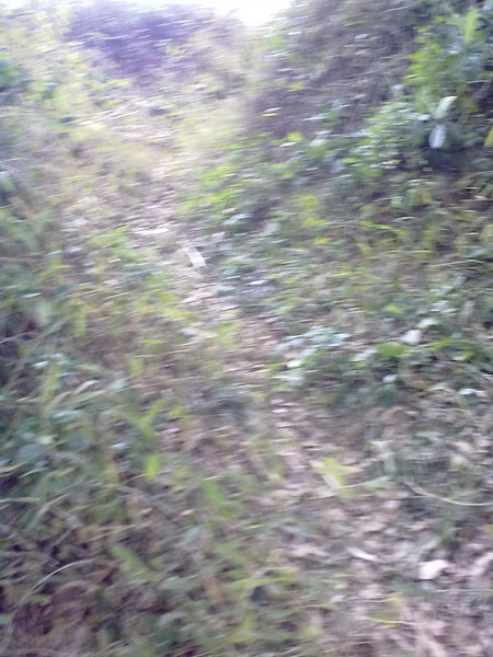 201101281084.jpg