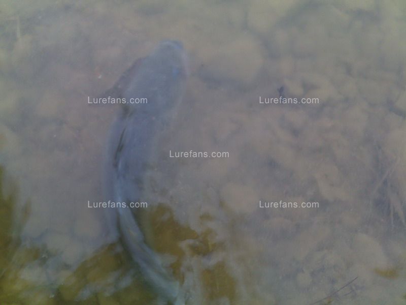 20110107253.jpg