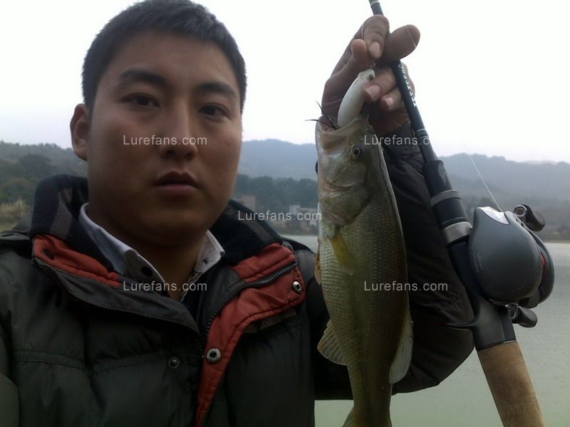 20110107251.jpg