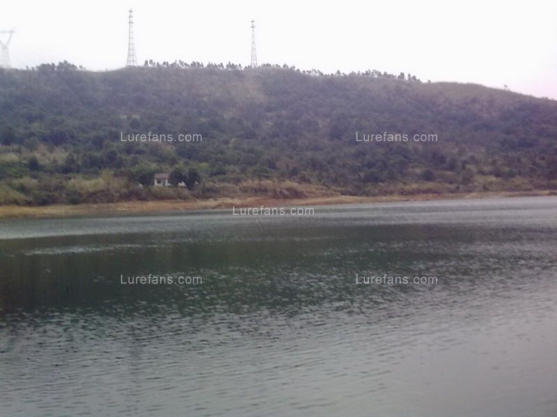 201101281142.jpg