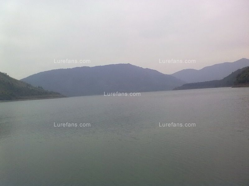 201101281141.jpg
