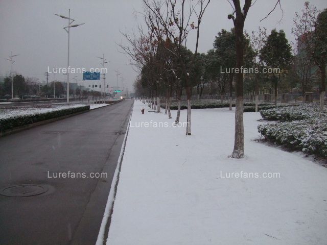 DSCF0011.JPG