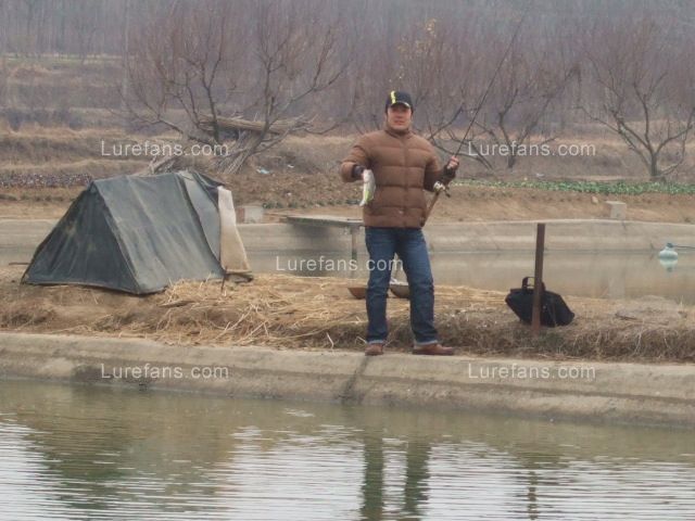 DSCF0038.JPG