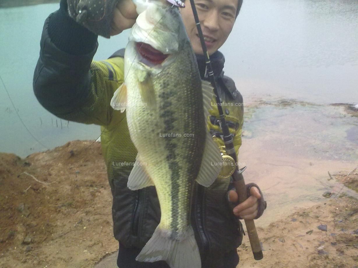 20110213732.jpg