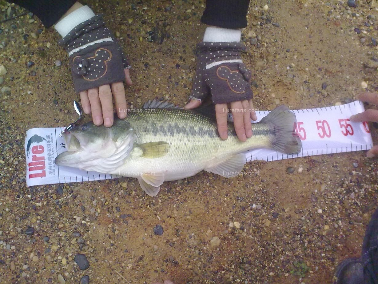 20110213733.jpg