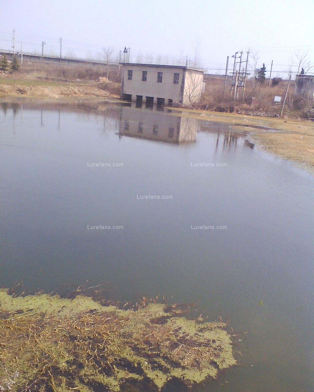 IMG0302125101.jpg
