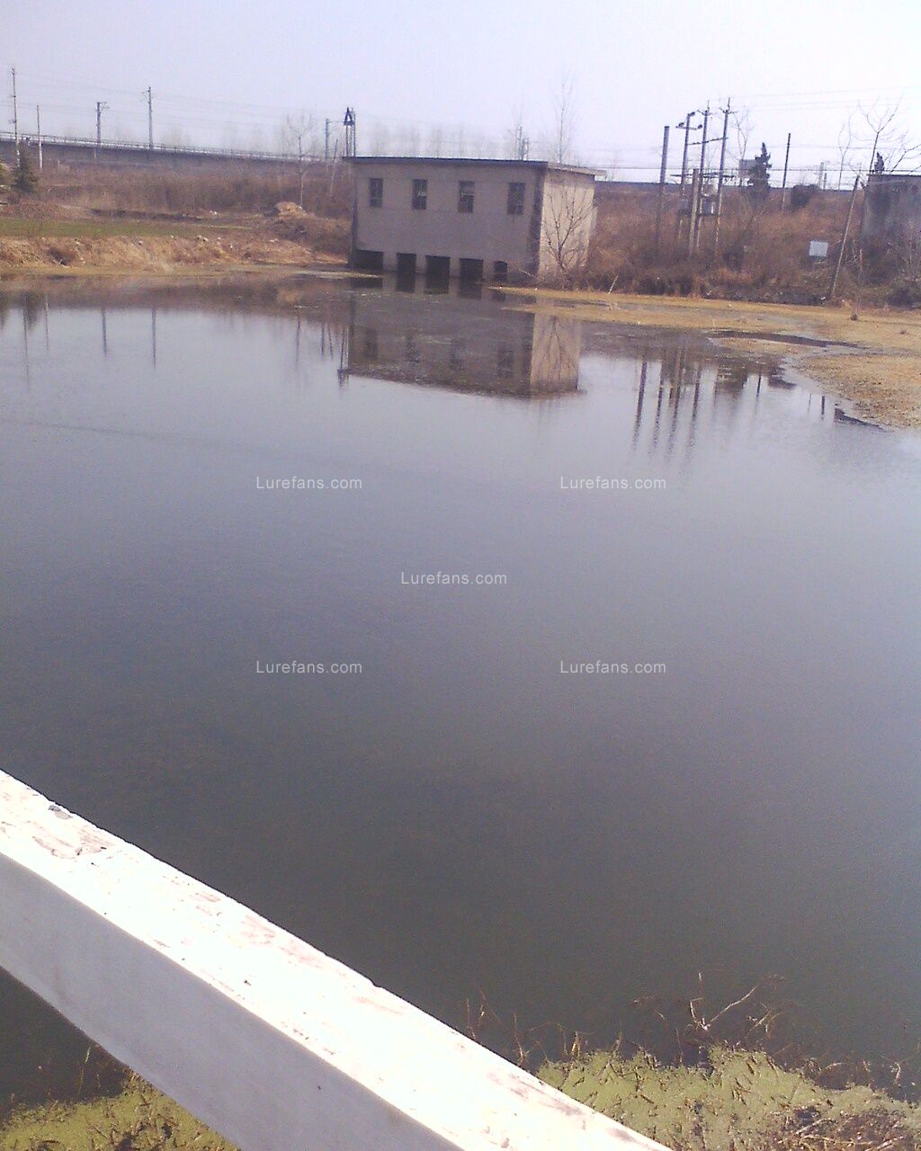 IMG0302114000.jpg