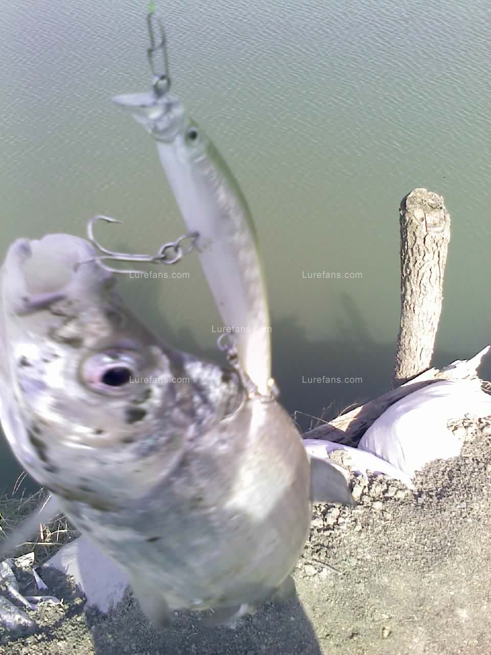 110307000.jpg
