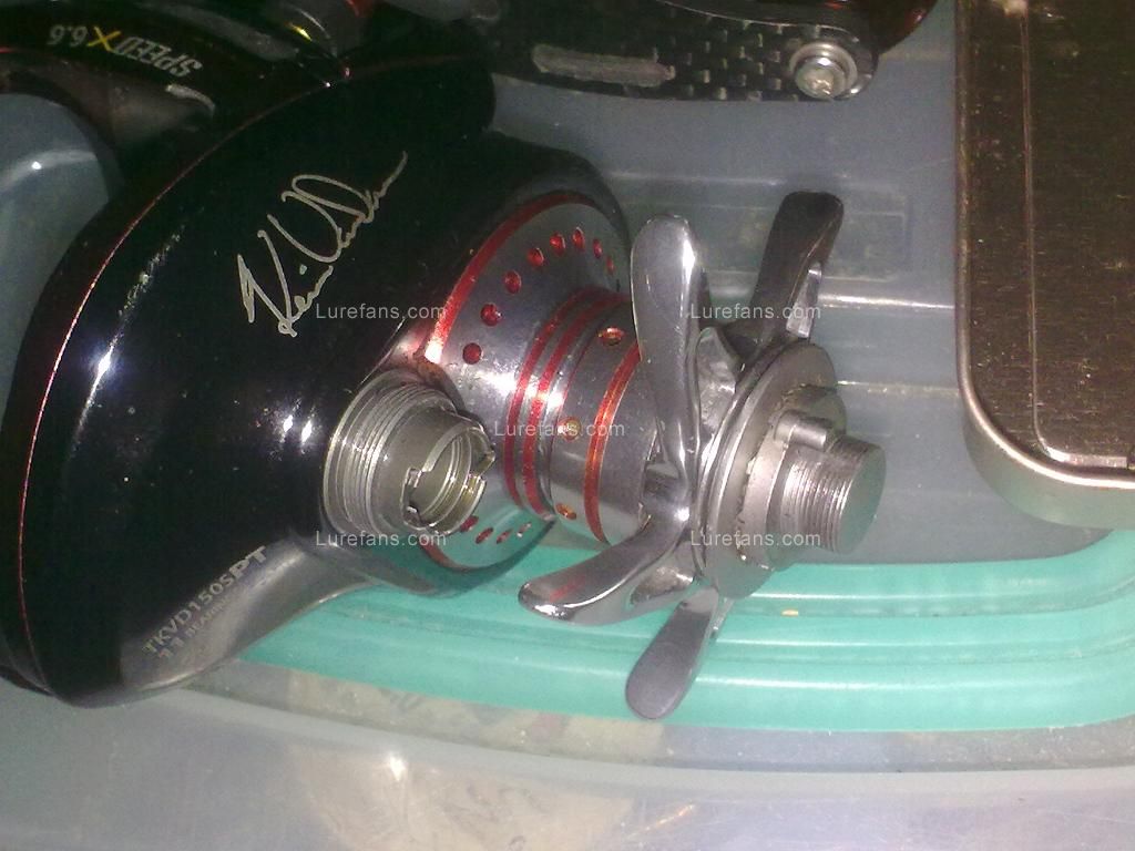 20110308786.jpg