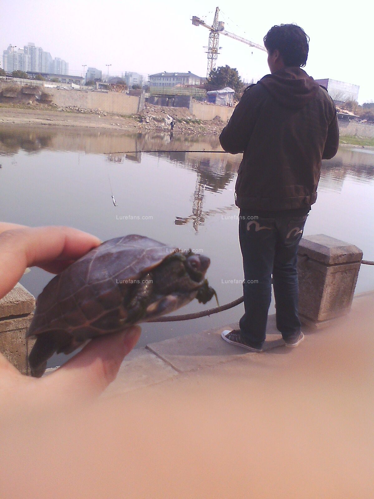 IMG0310135900.jpg