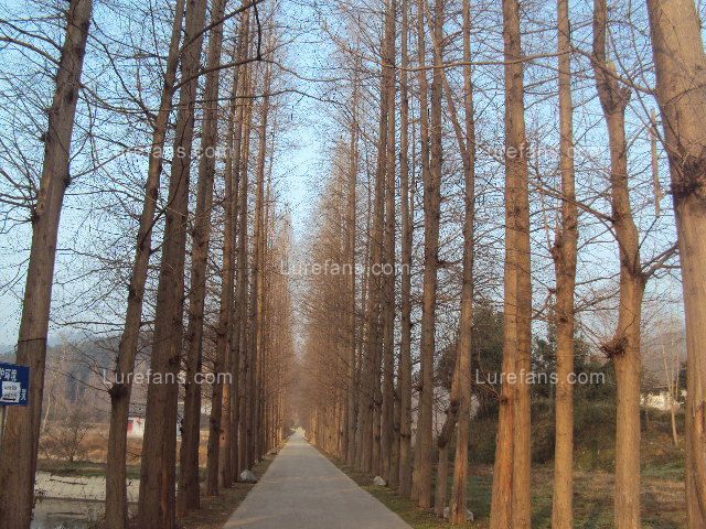 DSC03660.JPG