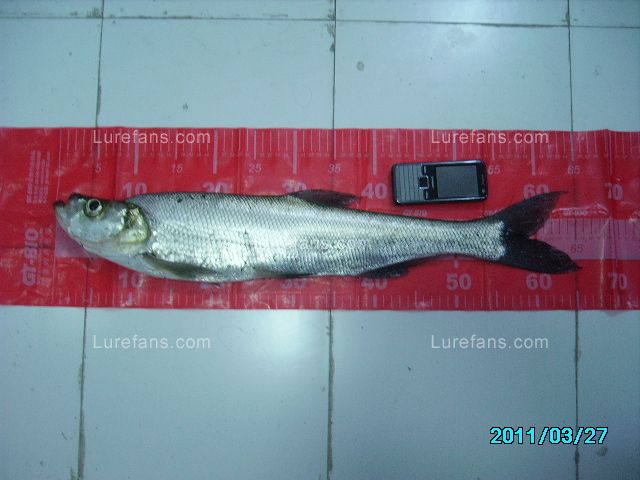 IMGP2209.JPG