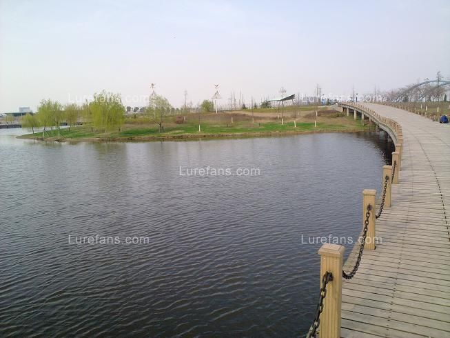 20110326041.jpg