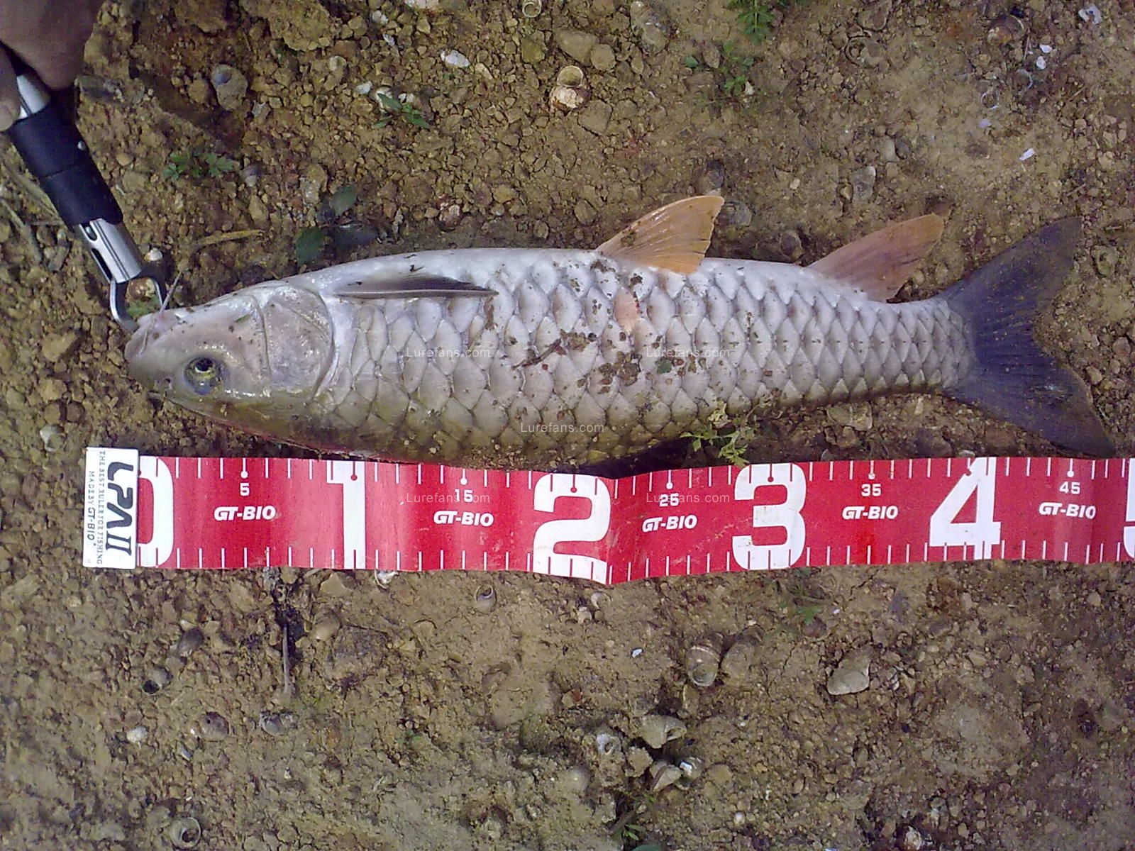 201103291500.jpg