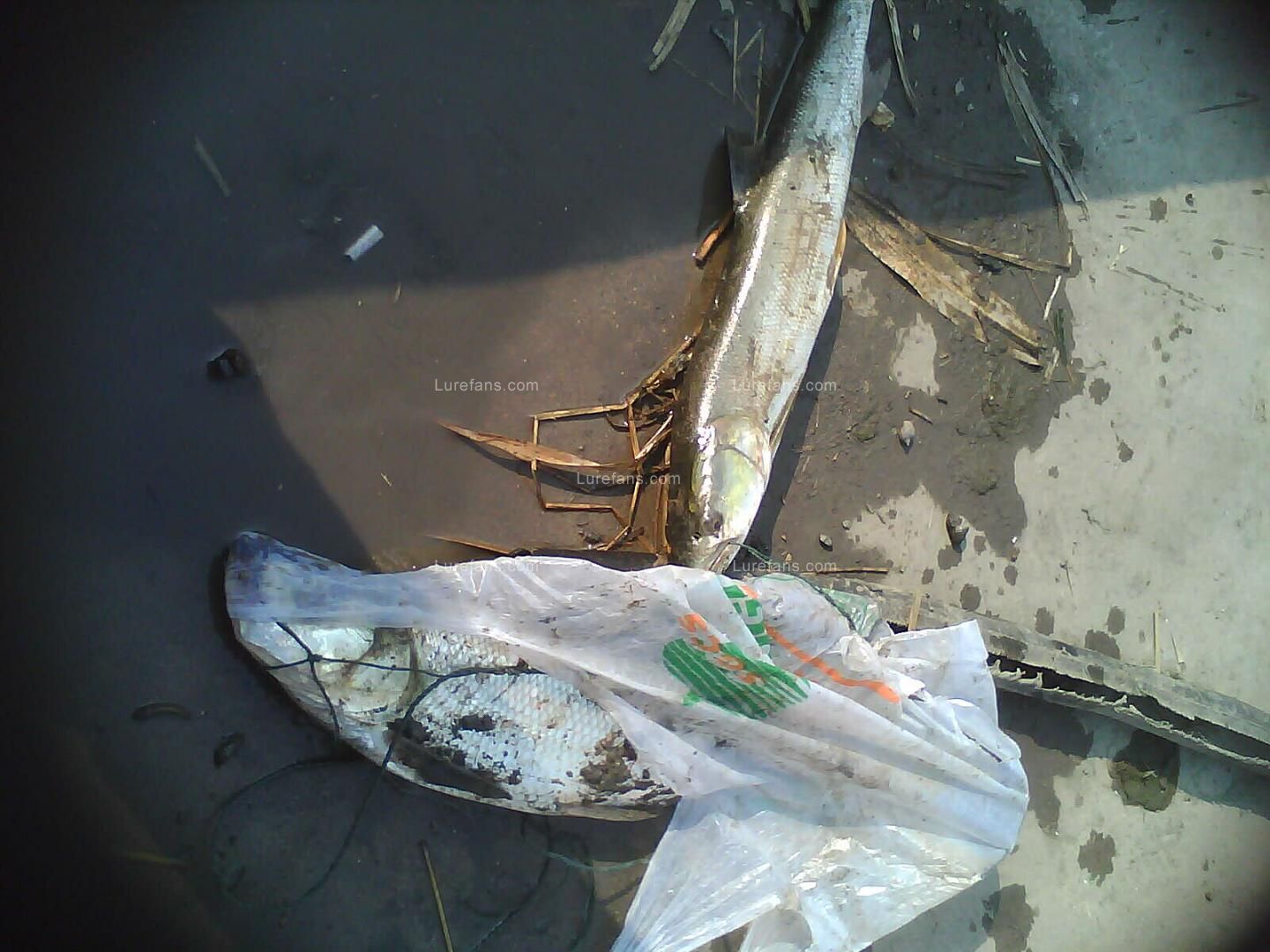 IMAG0028.jpg