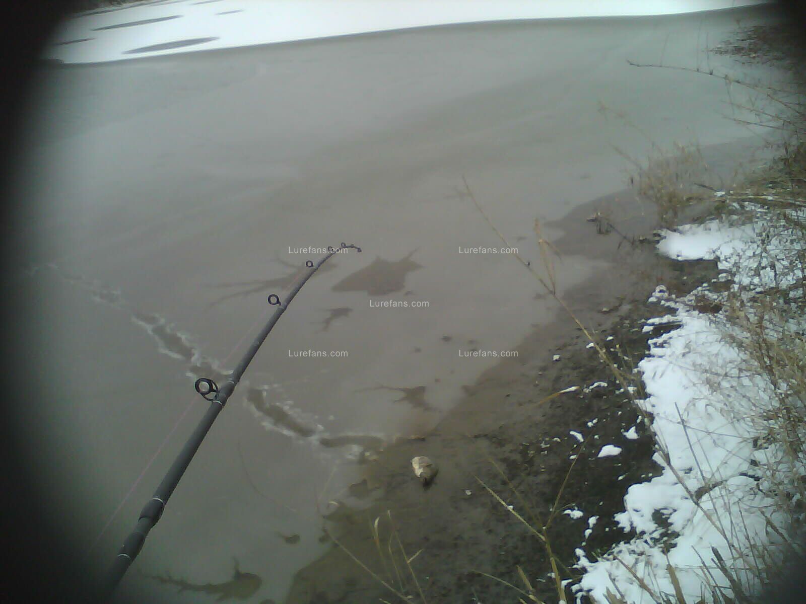 IMAG0013.jpg