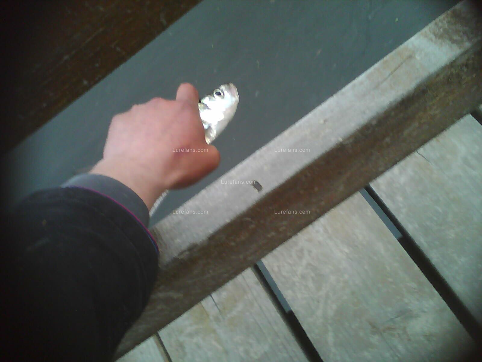 IMAG0048.jpg