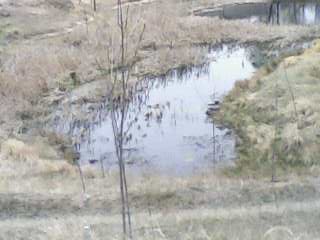 IMG04071423aa.jpg