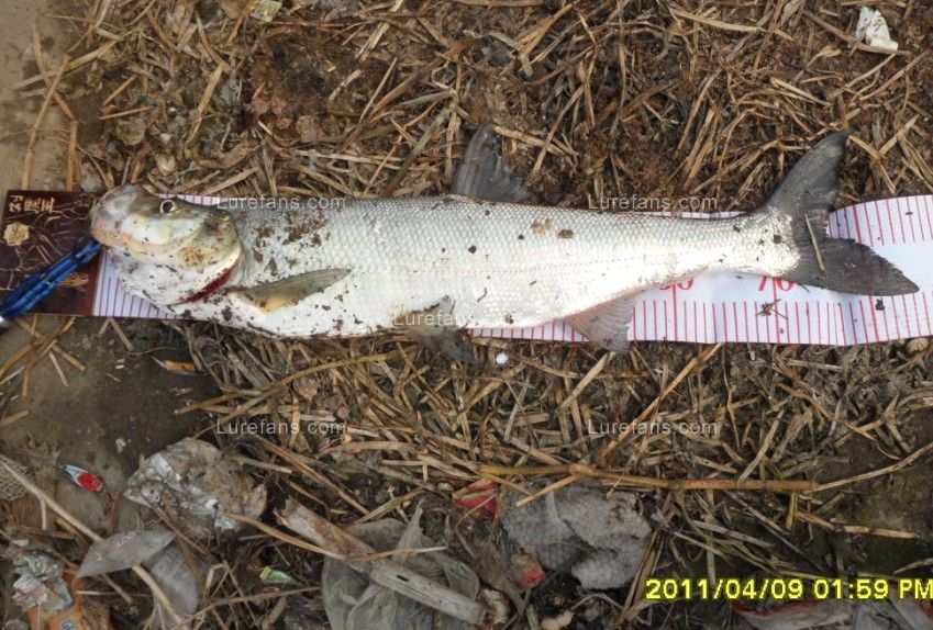 2011.4.9.3.jpg