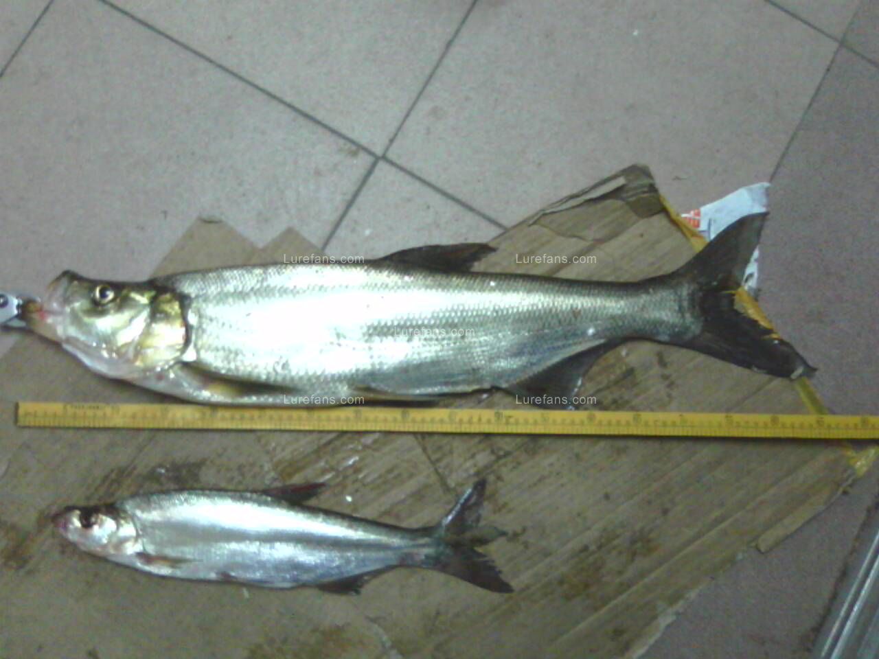 PH_118.jpg