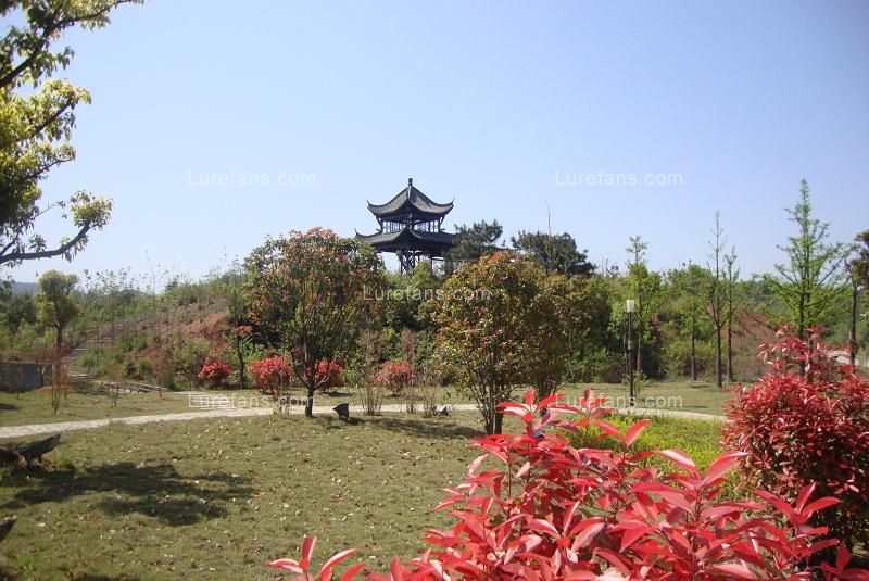 DSC01286.JPG