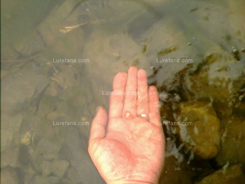 picture_00102_.jpg