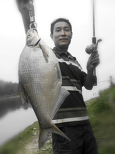 201104271950.jpg