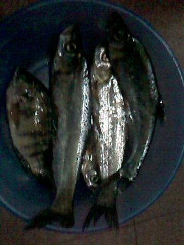 0_IMAG0179.jpg