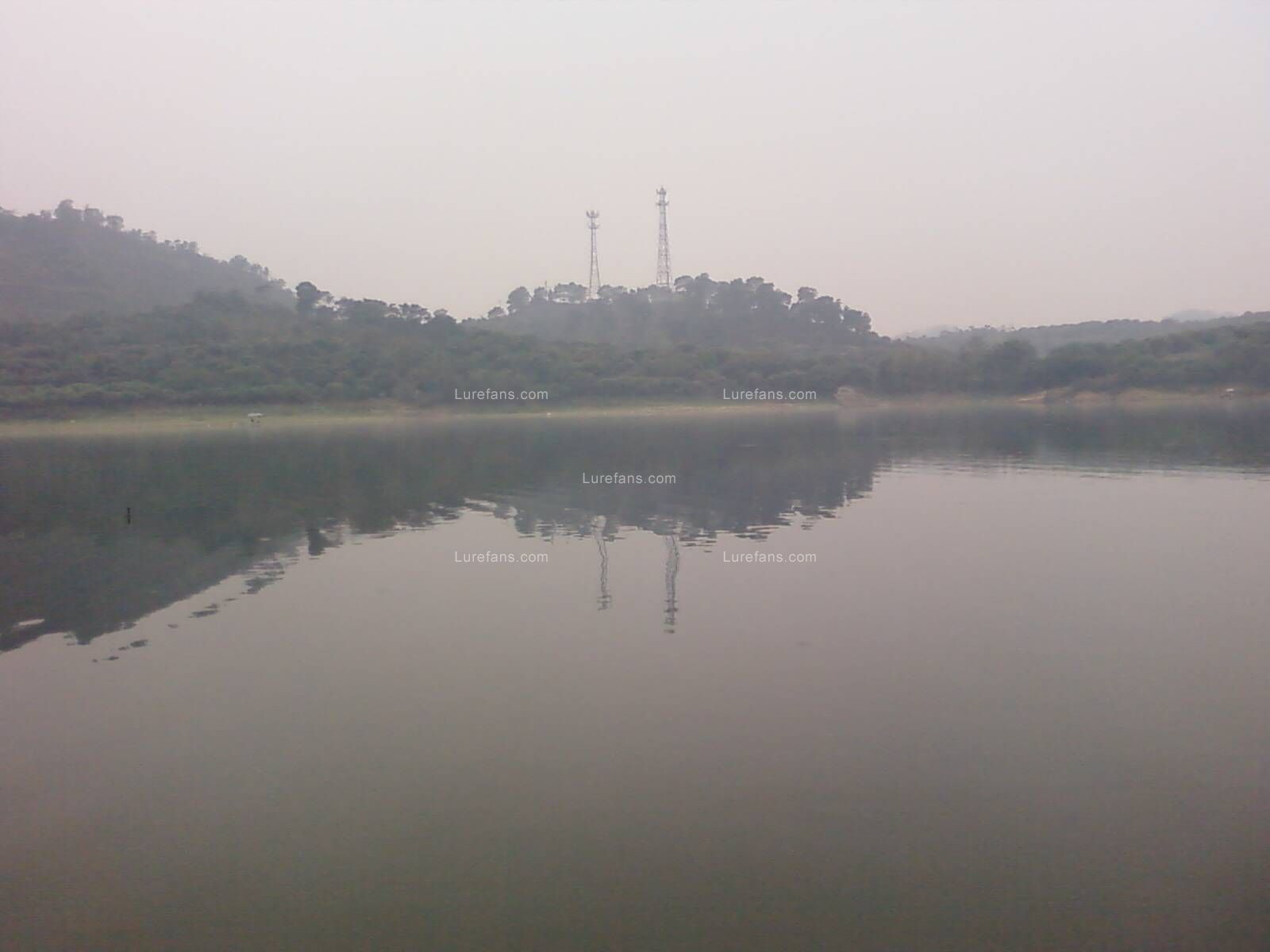 PIC-0006.jpg