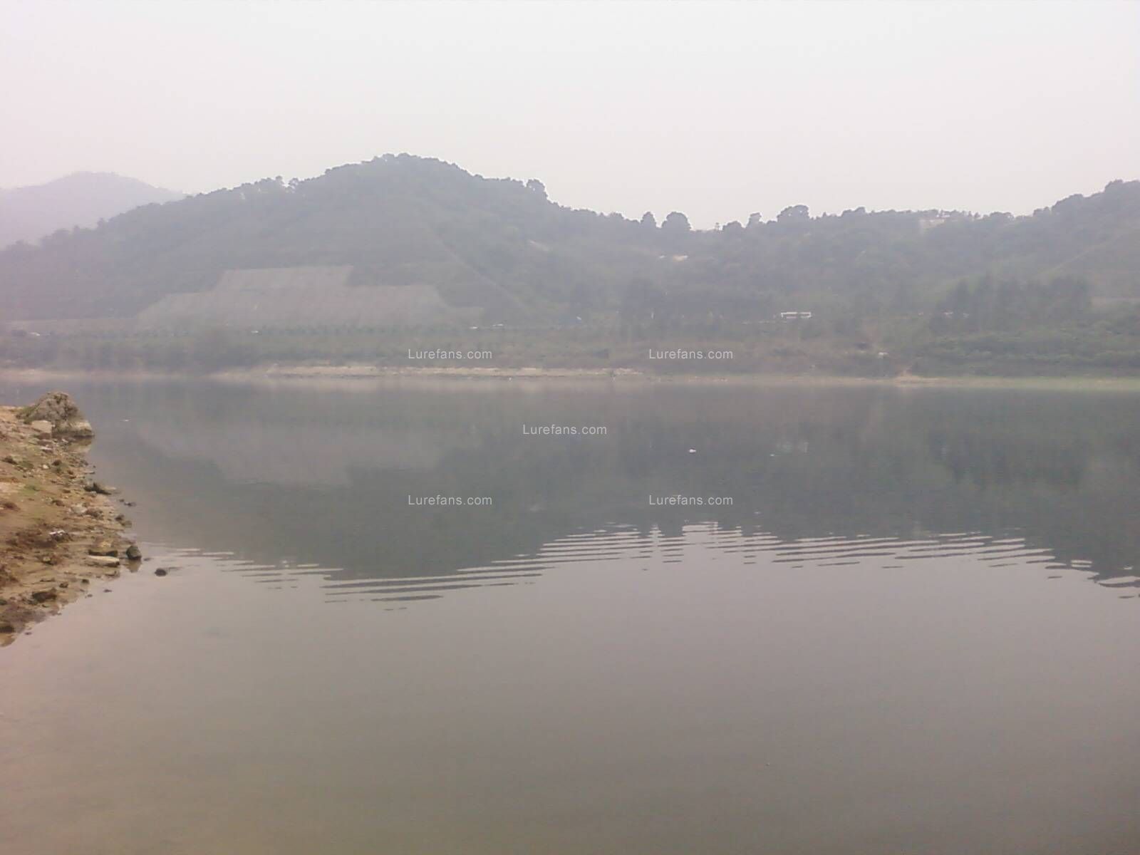 PIC-0007.jpg