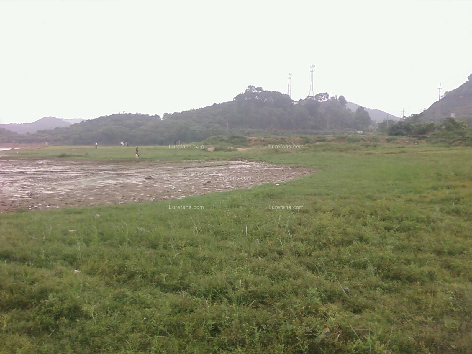 PIC-0006_1.jpg