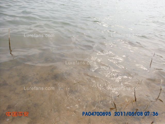 DSCI0603.JPG