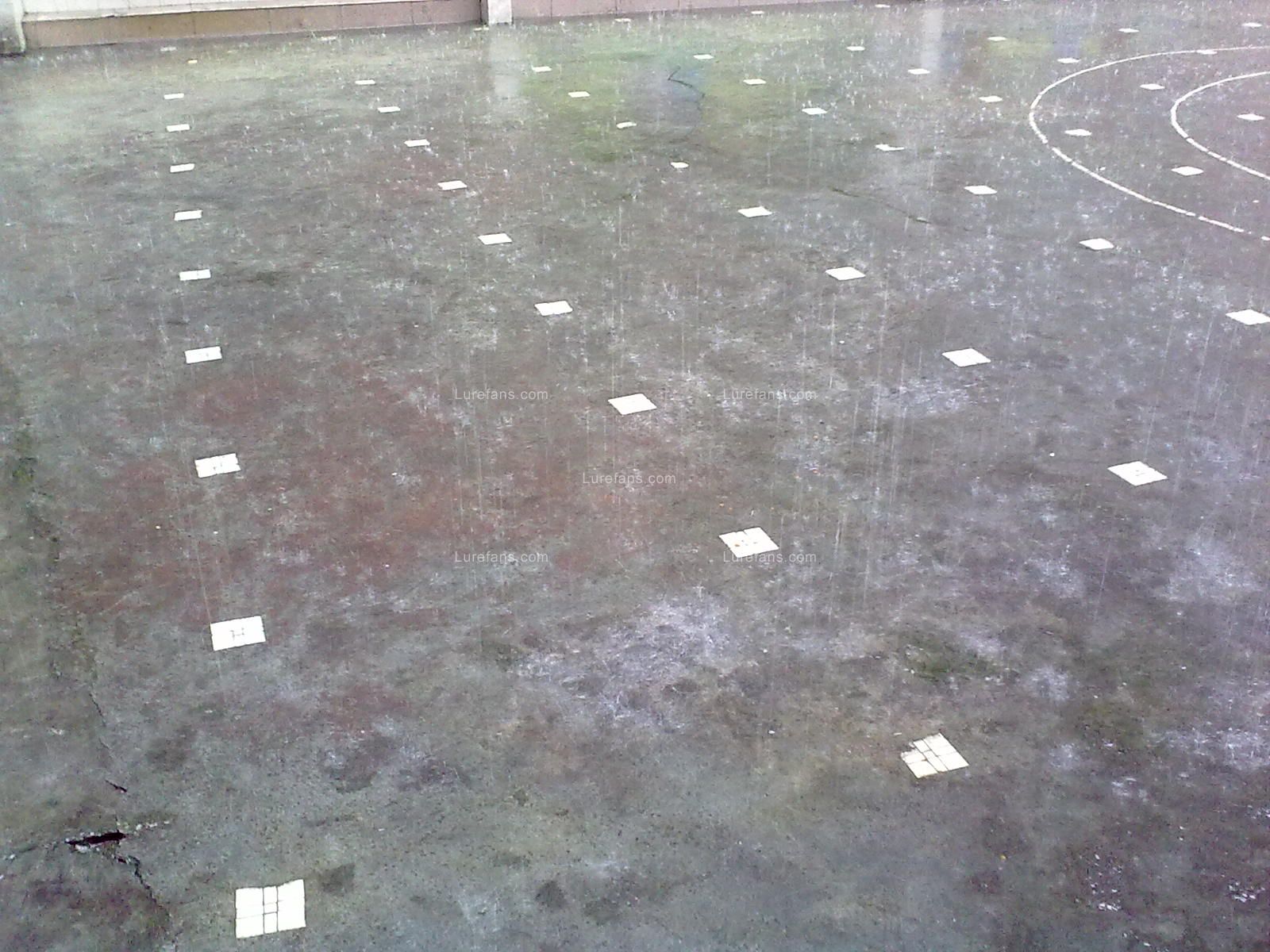 201105071908.jpg