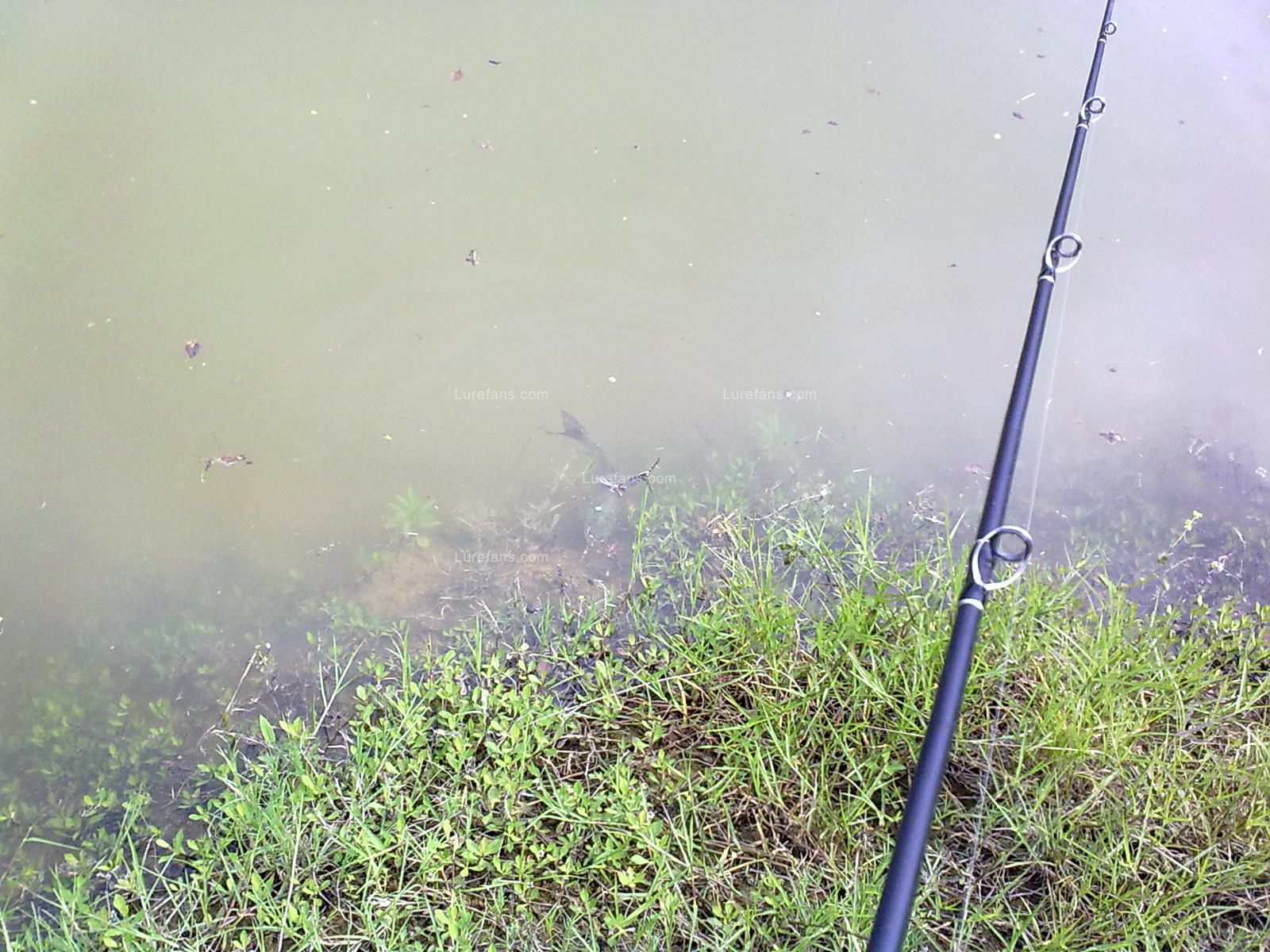 201105101911.jpg