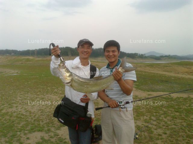 20110509045.jpg