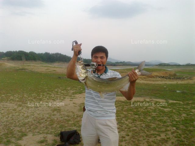 20110509047.jpg