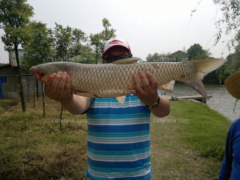 20110505460~1.jpg