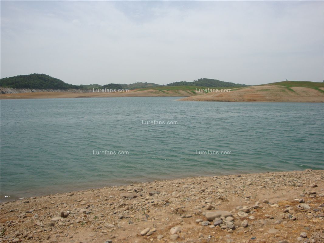 DSC02250.JPG