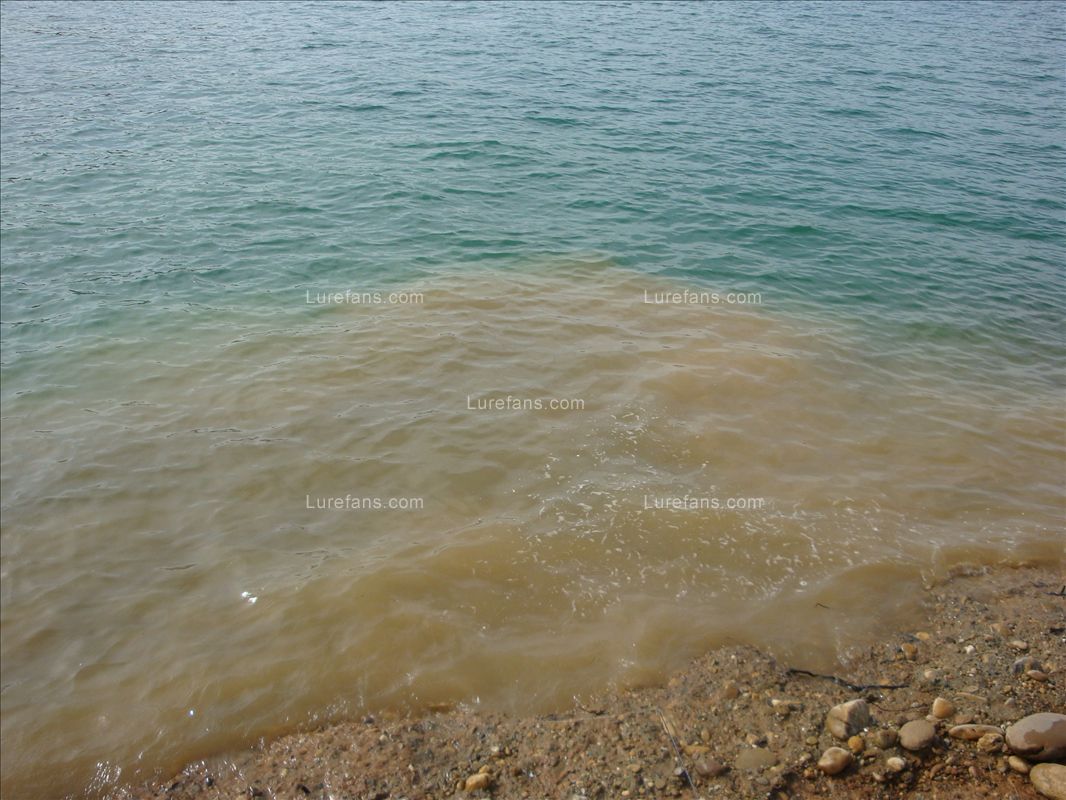 DSC02270.JPG